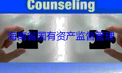 资产监督管有福接受审理委员会党委副书记王海南省国有查调查
